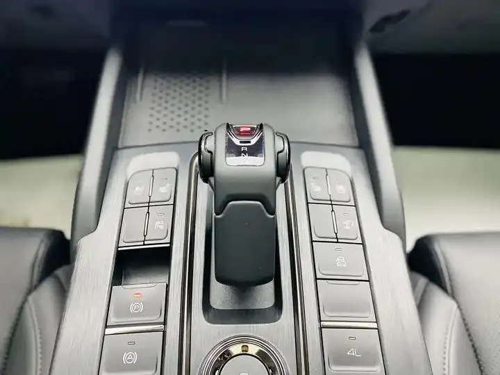 Haval H9 2024 2.0T Gasoline Four-wheel Drive Extreme Edition 10