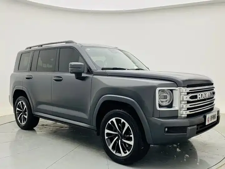Haval H9 2024 2.0T Gasoline Four-wheel Drive Extreme Edition 3