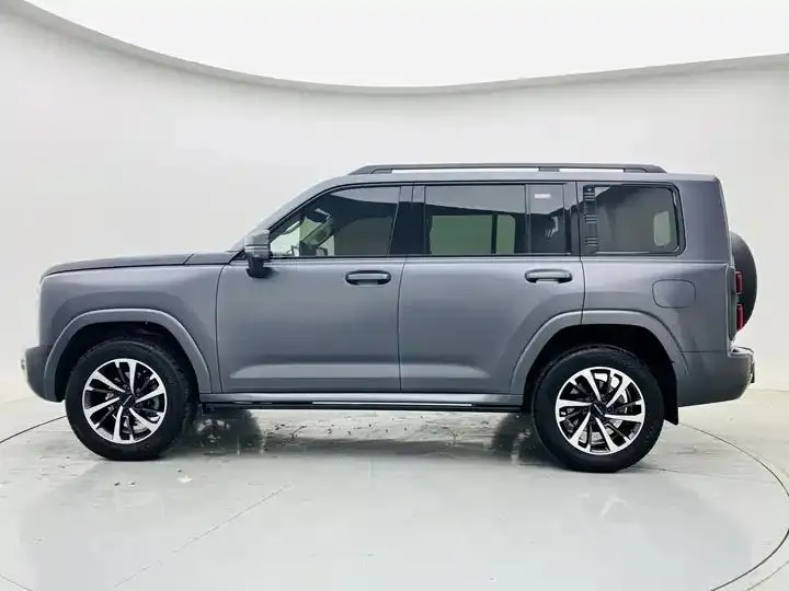 Haval H9 2024 2.0T Gasoline Four-wheel Drive Extreme Edition 4