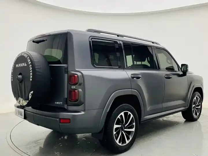 Haval H9 2024 2.0T Gasoline Four-wheel Drive Extreme Edition 5