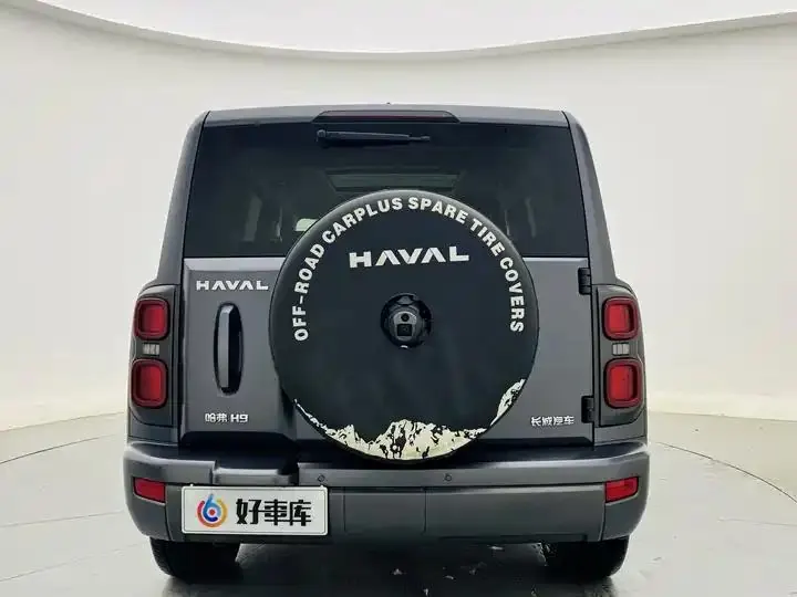 Haval H9 2024 2.0T Gasoline Four-wheel Drive Extreme Edition 6