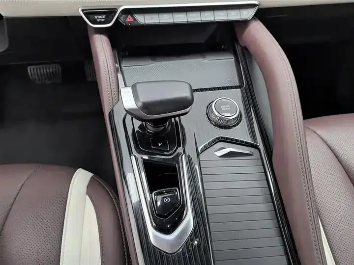 XingyueL (Monjaro) 2024 model, 2.0TD high-power automatic two-wheel-drive Cloud Rising Edition 13