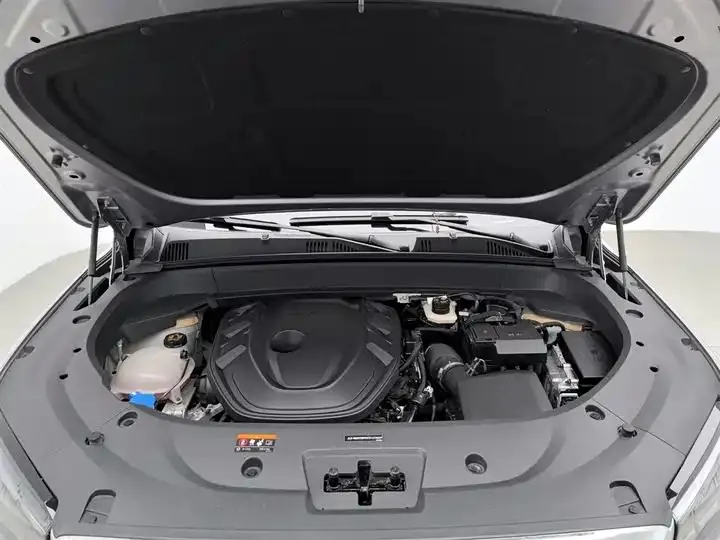XingyueL (Monjaro) 2024 model, 2.0TD high-power automatic two-wheel-drive Cloud Rising Edition 6
