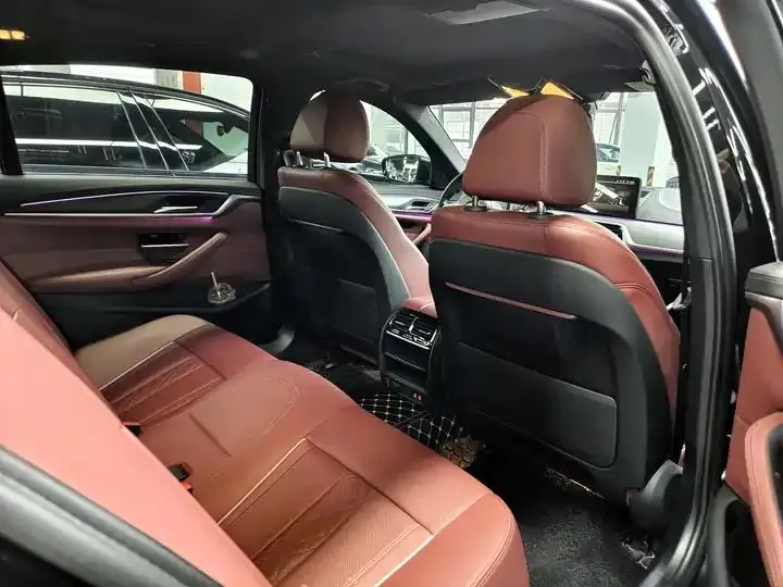 BMW 5 Series 2022 530Li Leading M Sports Suit 10