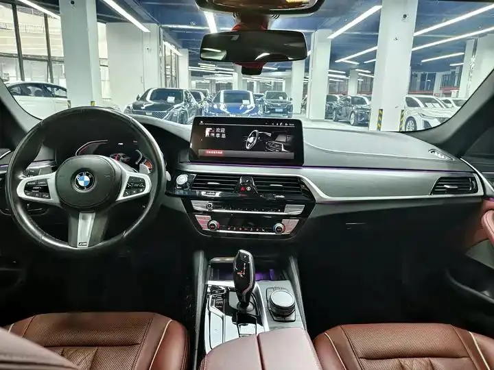 BMW 5 Series 2022 530Li Leading M Sports Suit 7