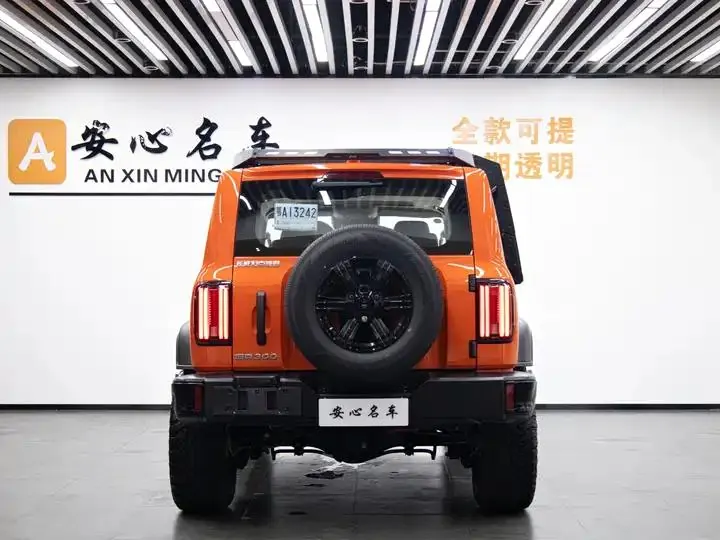Tank 300 2025 2.4T Diesel Edition 5