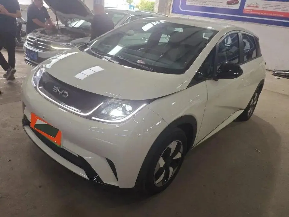 BYD 2025 Dolphin 420km Vital Edition Automatic Gear - View 1