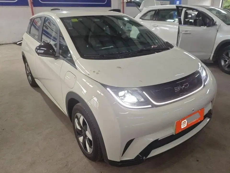 BYD 2025 Dolphin 420km Vital Edition Automatic Gear 2