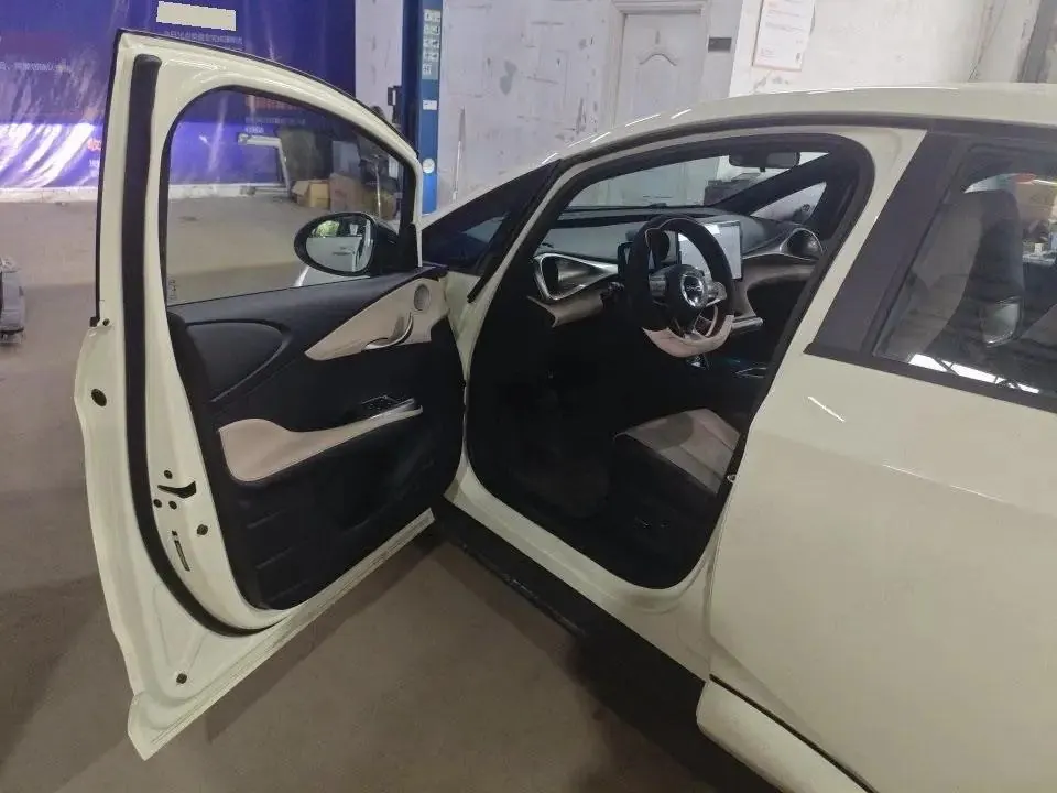 BYD 2025 Dolphin 420km Vital Edition Automatic Gear 8