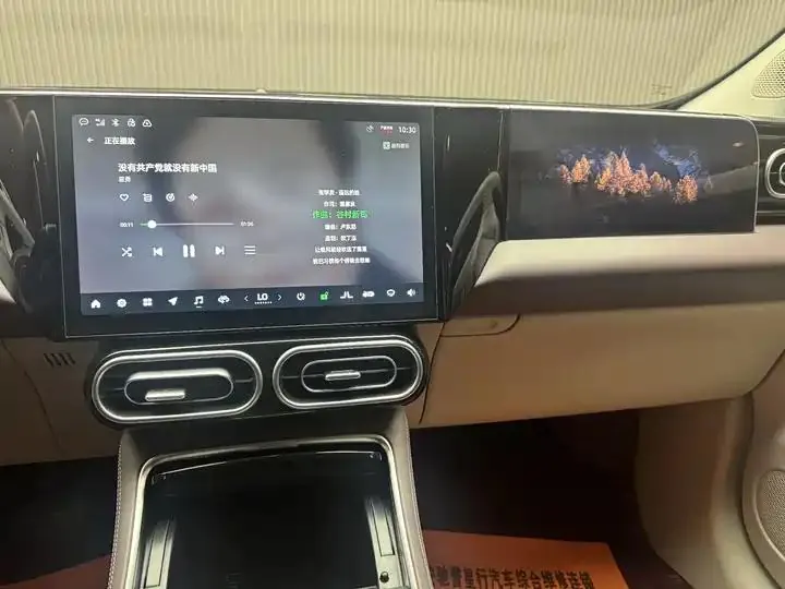 Leapmotor C11 2023 model Range-Extended 300 Comfort Edition 19