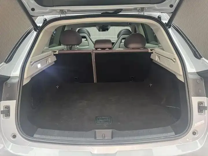 Leapmotor C11 2023 model Range-Extended 300 Comfort Edition 9