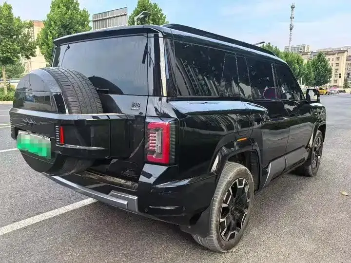 Leopard 8 2025 Zhiyong Flagship Edition 7 6