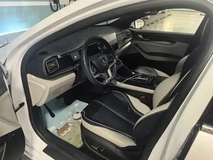 Qin PLUS 2021 EV 400KM Luxury Model 7