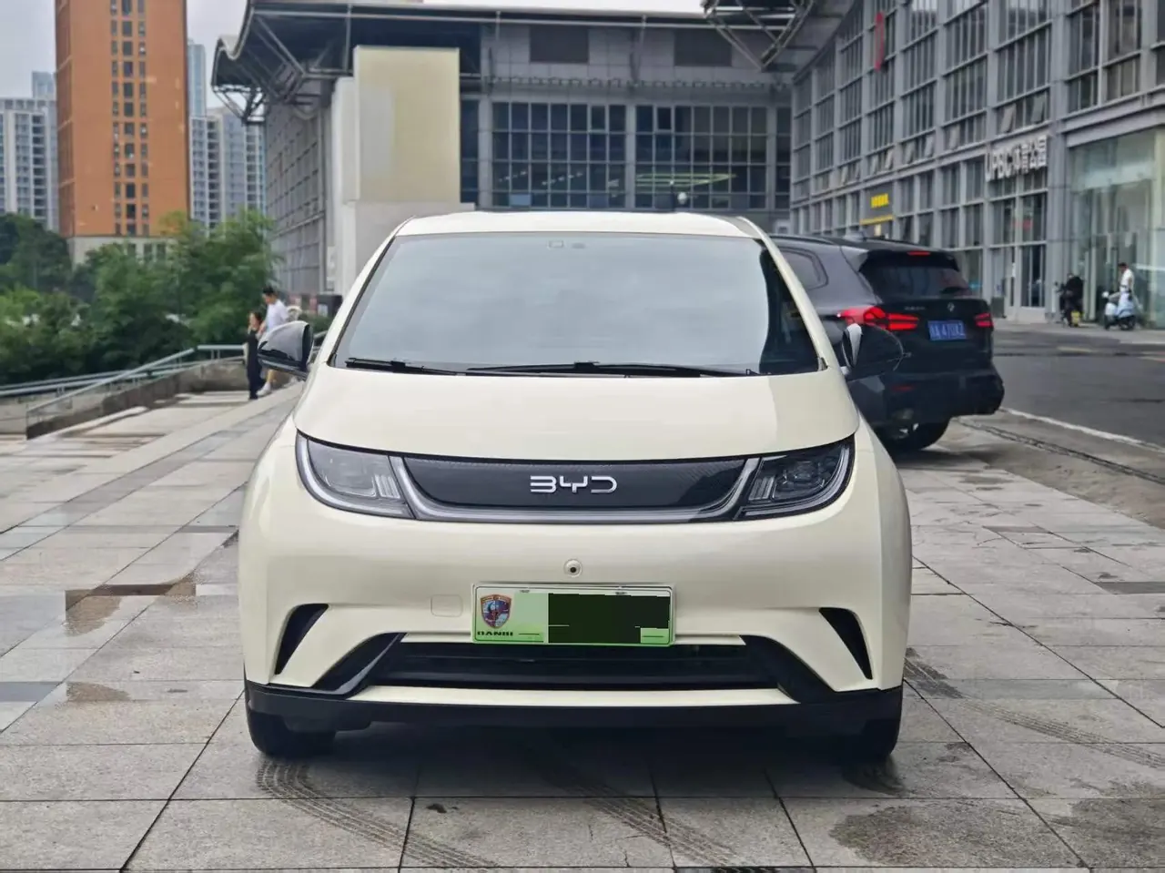 BYD 2025 Dolphin Intelligent Driving Edition 420km Free Edition Automatic 2