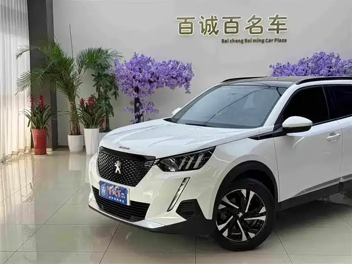 Peugeot 2008 2022 230THP THE ONE 3