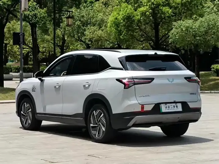 WuLing Starlight S 2024 130km Flagship 17