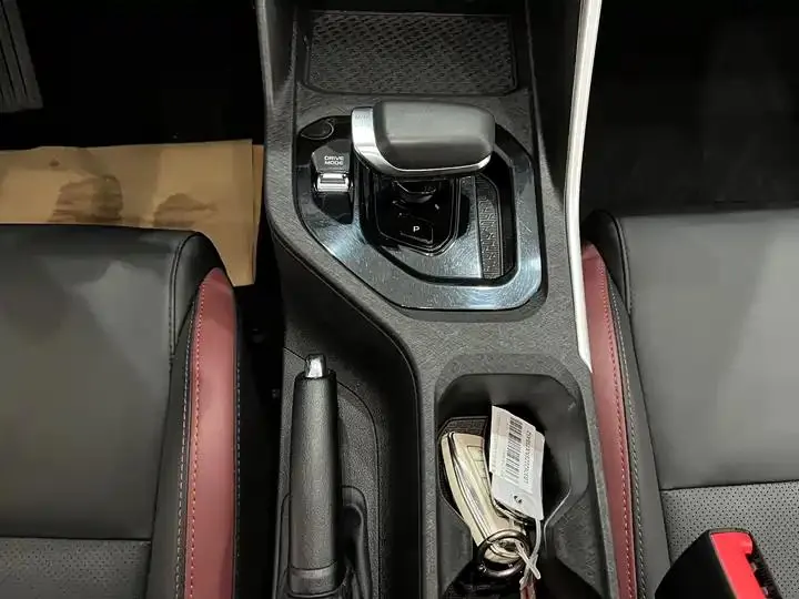 Binyue 2021 1.4T DCT Platinum Edition 14