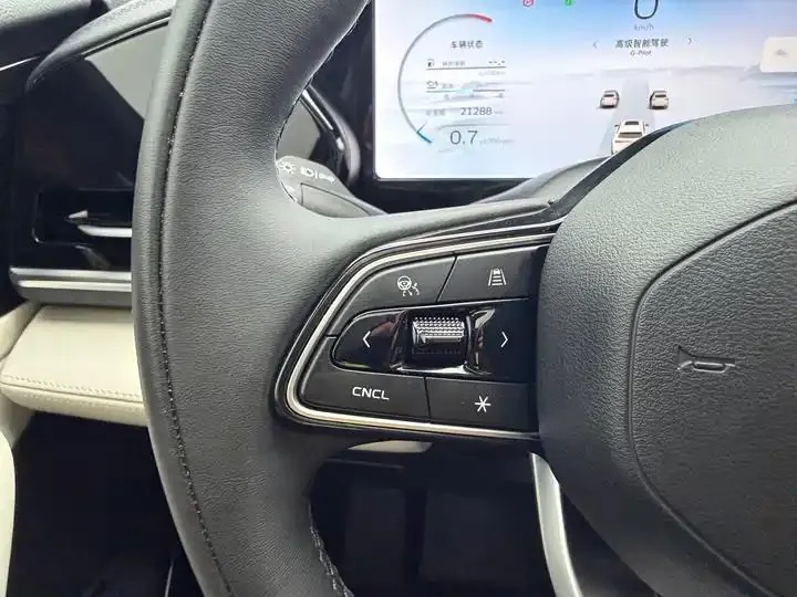 XingyueL (Monjaro) 2023 2.0TD High Power Automatic Two-Drive Flagship 12