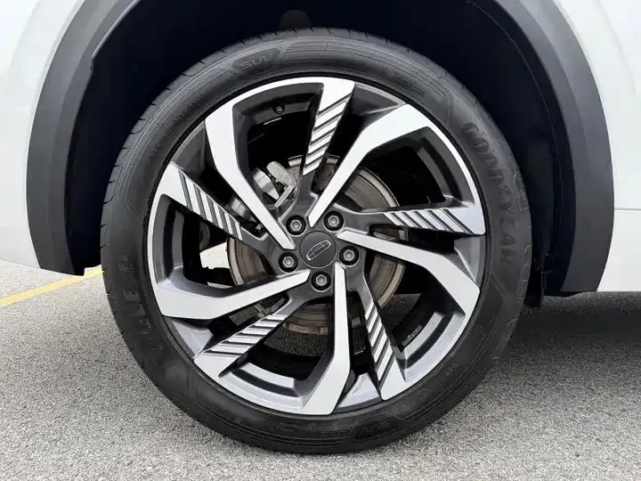 XingyueL (Monjaro) 2023 2.0TD High Power Automatic Two-Drive Flagship 32