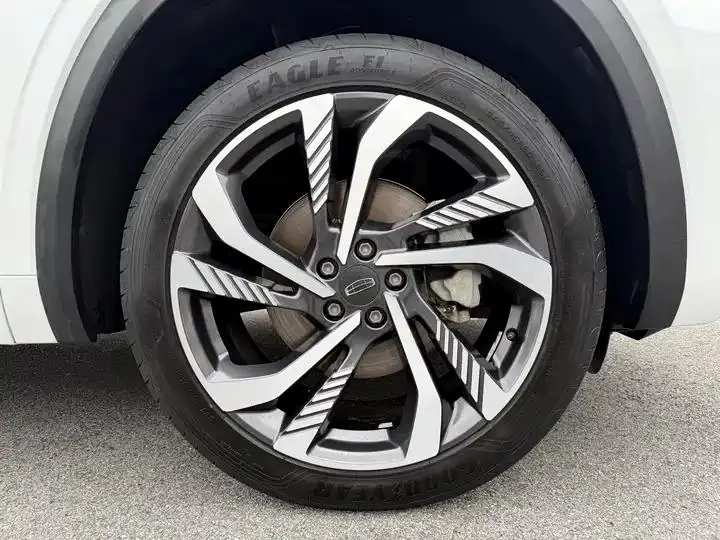 XingyueL (Monjaro) 2023 2.0TD High Power Automatic Two-Drive Flagship 33