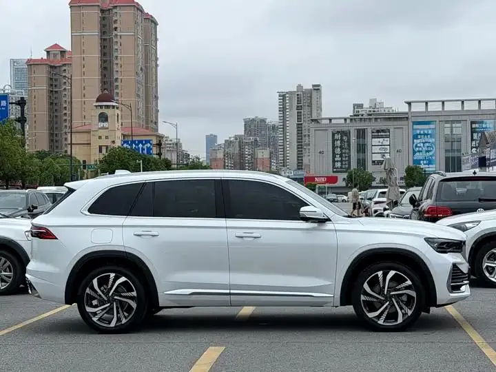 XingyueL (Monjaro) 2023 2.0TD High Power Automatic Two-Drive Flagship 6