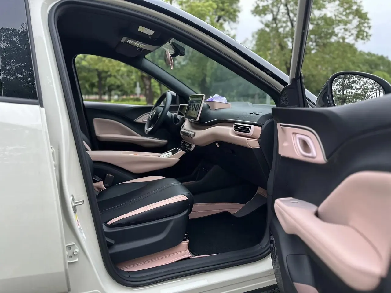 BYD 2024 Seagull Glory Edition 405km Flying Edition Automatic Gear 7