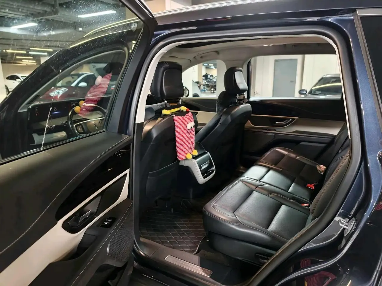 Voyager 2023 2.0T 4-wheel drive Premium Edition 6