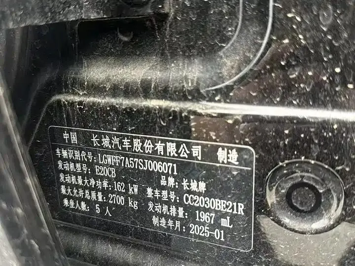Tank 300 2025 2.0T Gasoline Conqueror 5