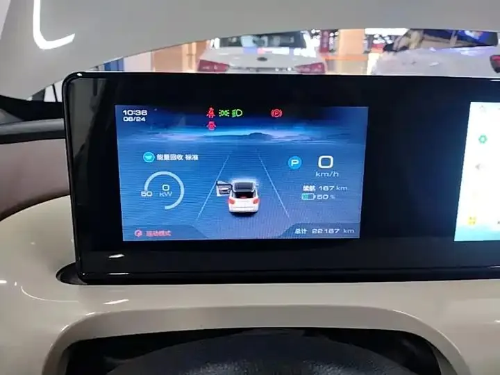WuLing Plantronics 2024 333km Pleasant 12