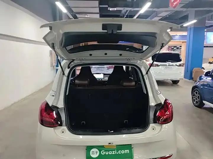 WuLing Plantronics 2024 333km Pleasant 19