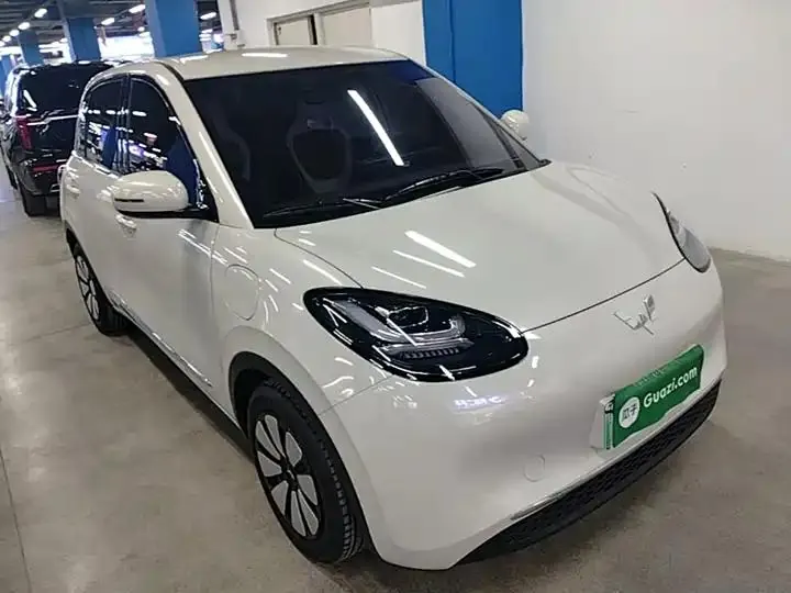 WuLing Plantronics 2024 333km Pleasant 4