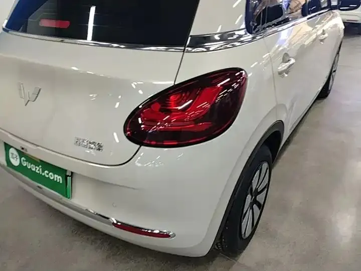 WuLing Plantronics 2024 333km Pleasant 8