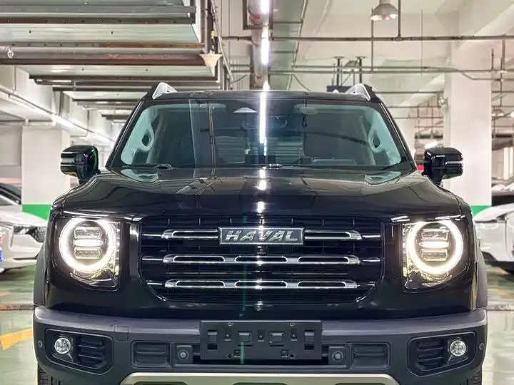 Haval Big Dog 2022 1.5T DCT Two-Drive Border Pastoral Edition 11
