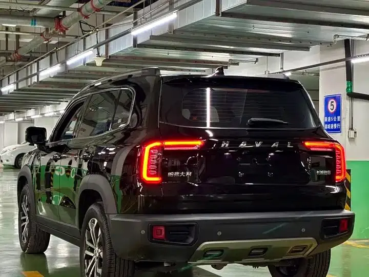Haval Big Dog 2022 1.5T DCT Two-Drive Border Pastoral Edition 7