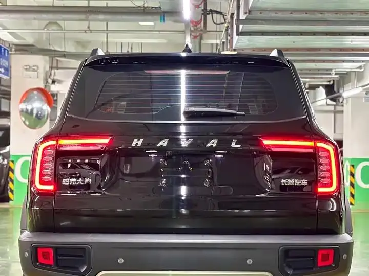 Haval Big Dog 2022 1.5T DCT Two-Drive Border Pastoral Edition 8
