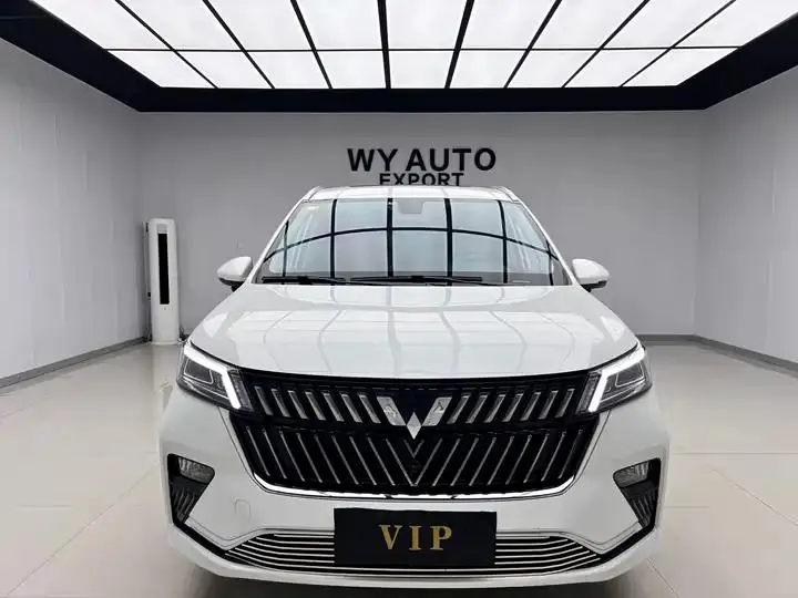 WuLing Jiachen 2022 1.5T CVT Enjoy Flagship 2