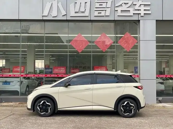 Dolphin 2021 405km Free Edition 3