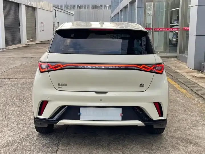 Dolphin 2021 405km Free Edition 5