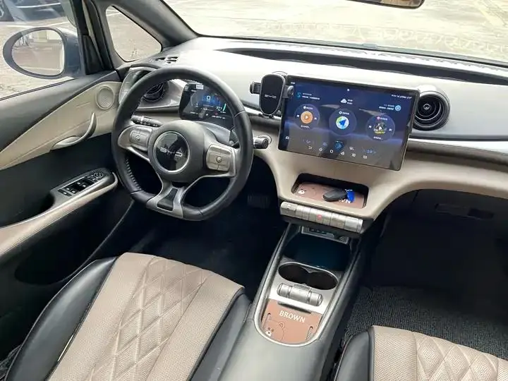 Dolphin 2021 405km Free Edition 9