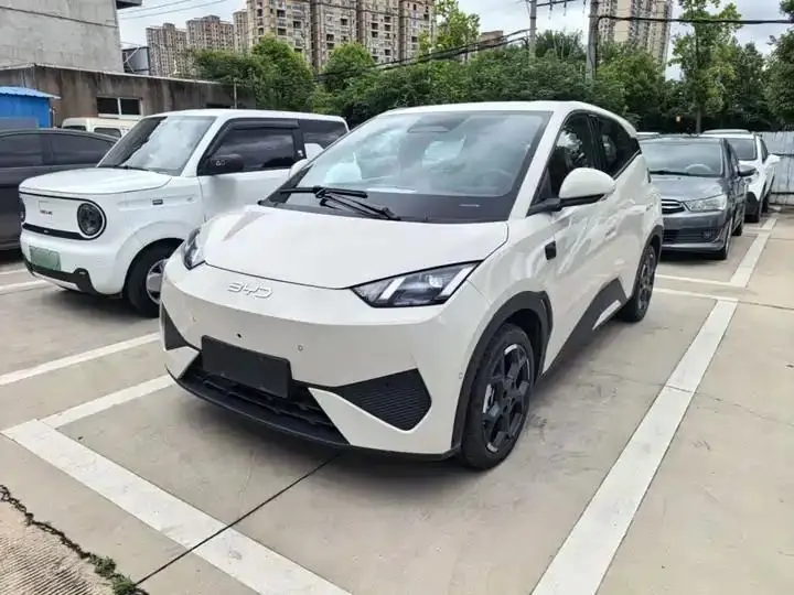 Seagull 2025 Smart Driving Edition 305km Free Edition - View 1