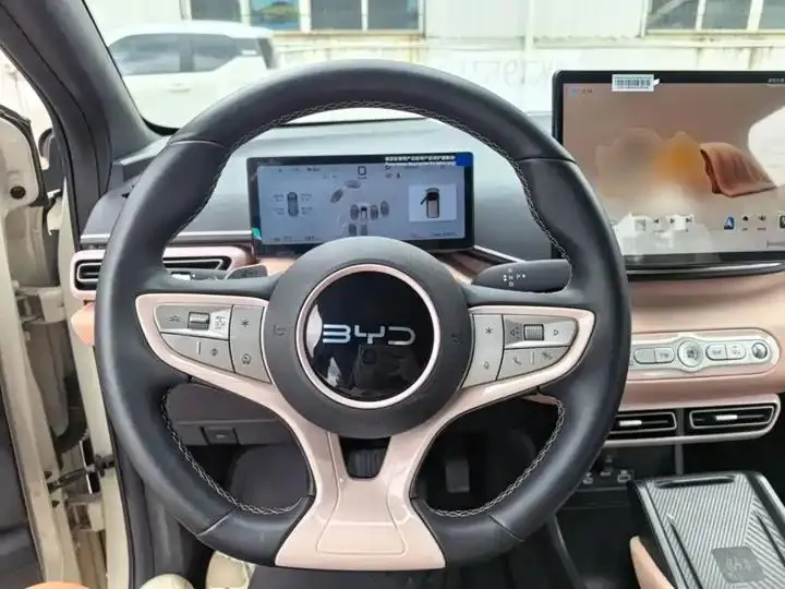 Seagull 2025 Smart Driving Edition 305km Free Edition 11