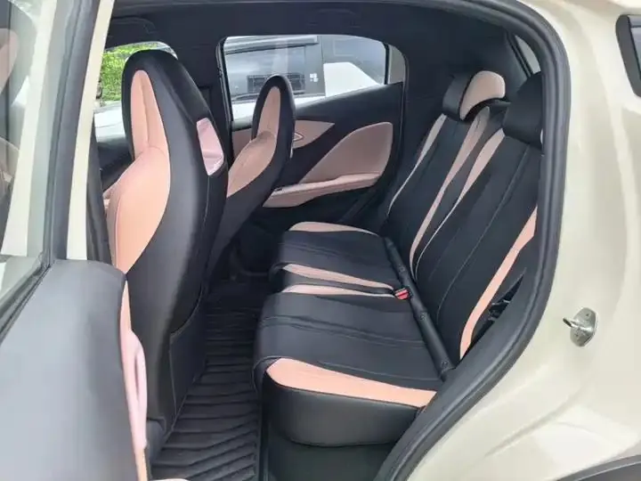 Seagull 2025 Smart Driving Edition 305km Free Edition 17