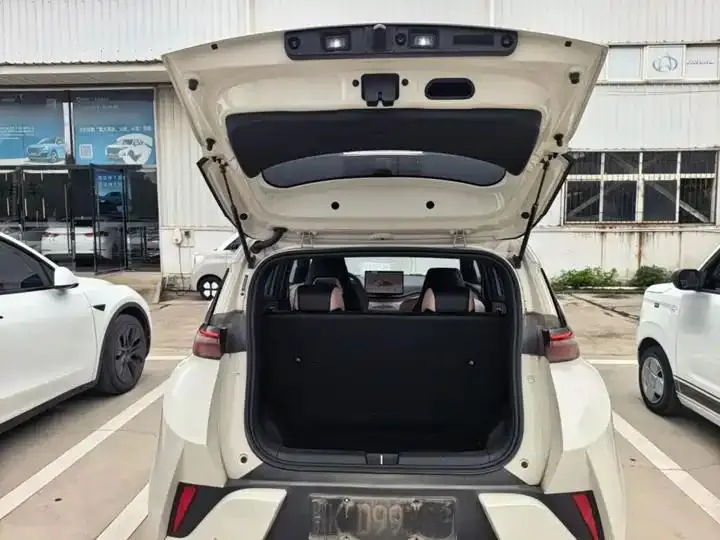 Seagull 2025 Smart Driving Edition 305km Free Edition 19