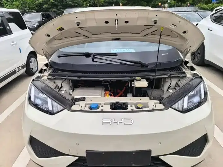 Seagull 2025 Smart Driving Edition 305km Free Edition 20