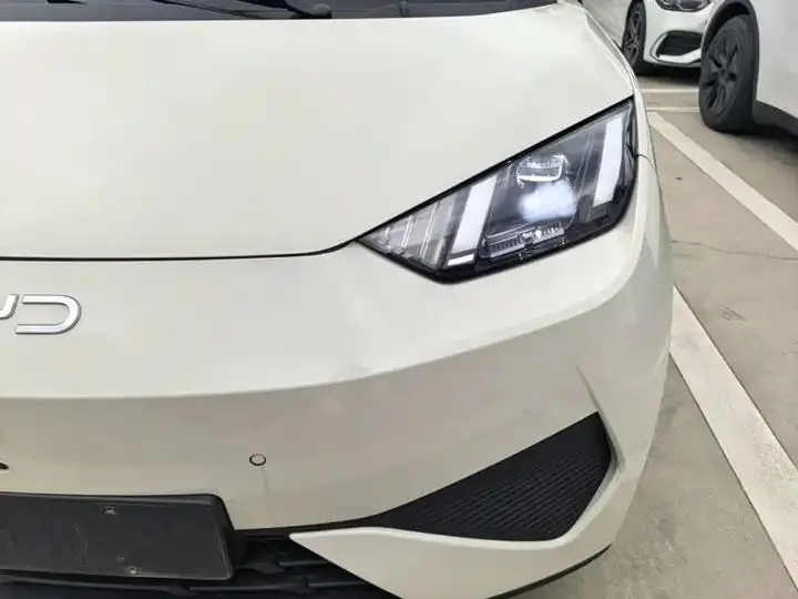 Seagull 2025 Smart Driving Edition 305km Free Edition 24