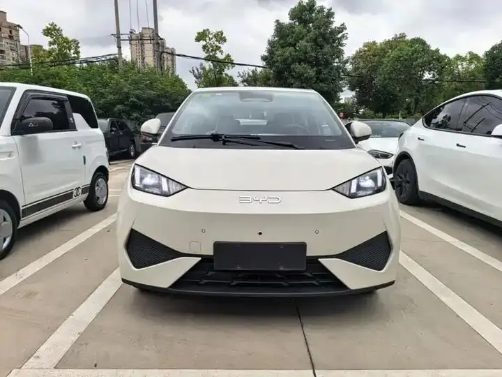 Seagull 2025 Smart Driving Edition 305km Free Edition 3