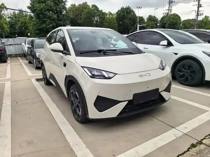Seagull 2025 Smart Driving Edition 305km Free Edition 4