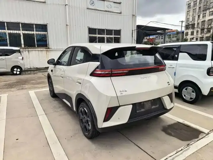 Seagull 2025 Smart Driving Edition 305km Free Edition 5
