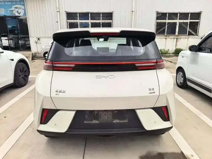 Seagull 2025 Smart Driving Edition 305km Free Edition 6