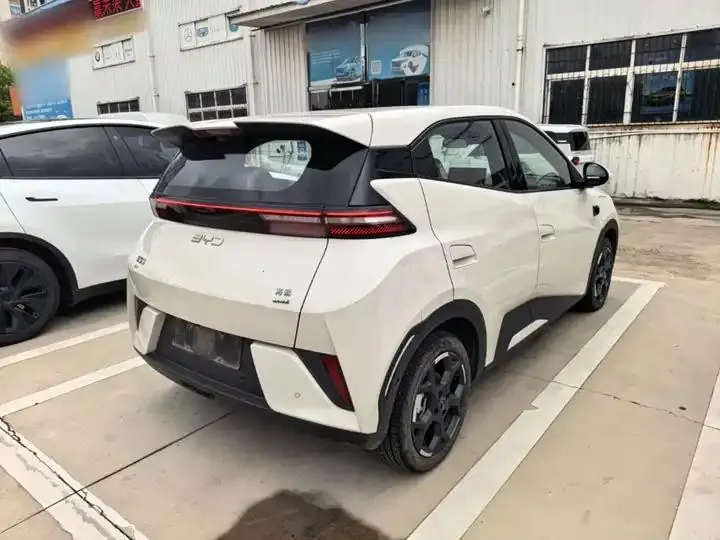 Seagull 2025 Smart Driving Edition 305km Free Edition 7